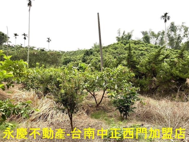 南化農地-4