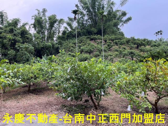 南化農地-7