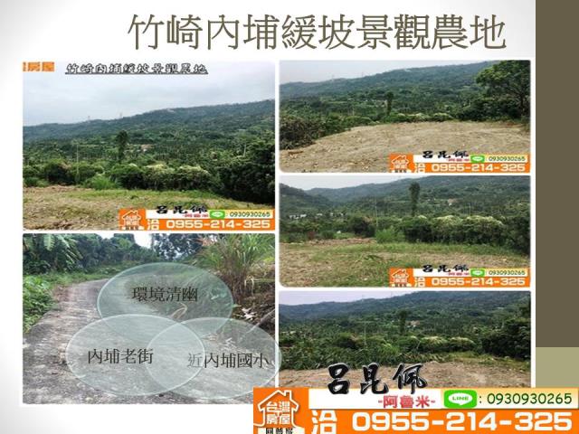 竹崎農地-1