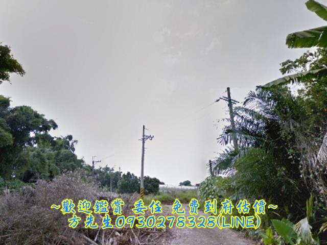 玉井農地-2