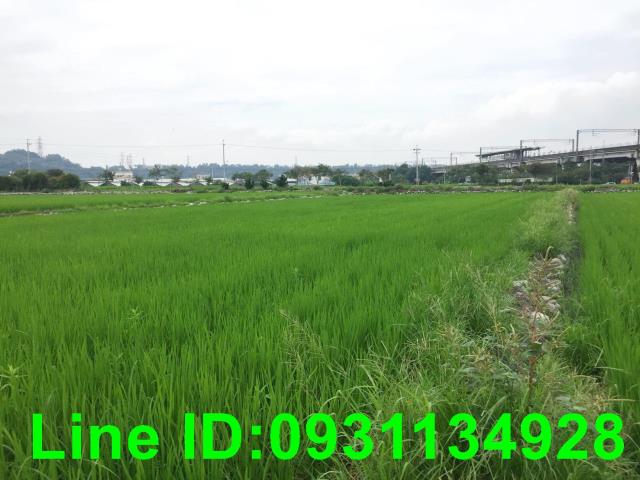 后里農地-1