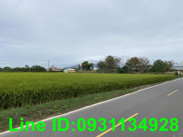 台中外埔農地-3