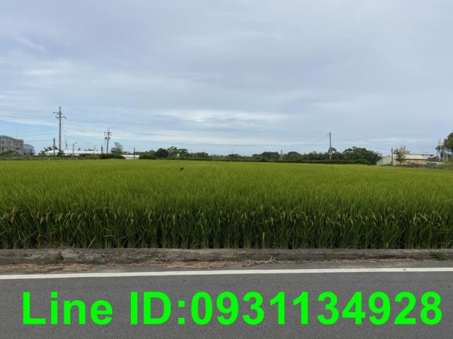 台中外埔農地-2