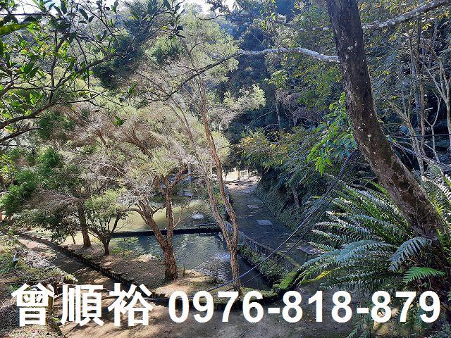 竹東農地-10