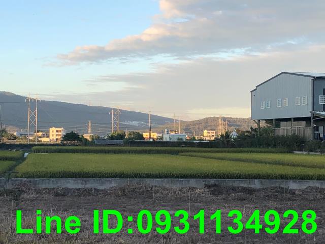 后里農地-2