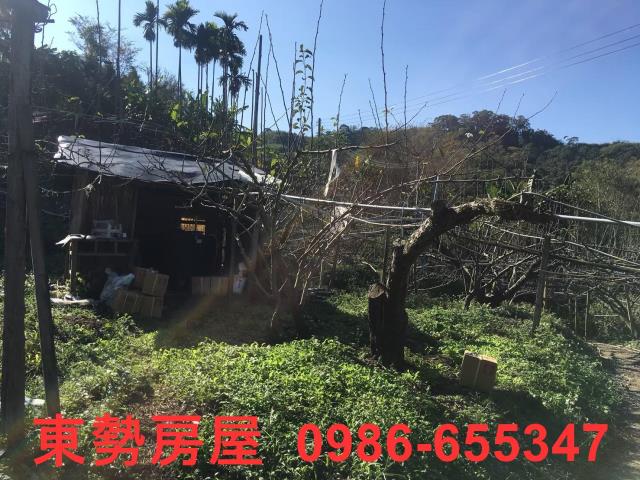 台中休閒地-2