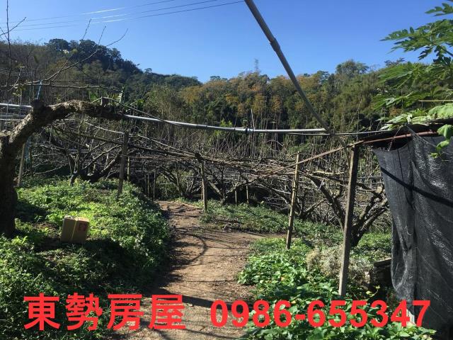 台中休閒地-5
