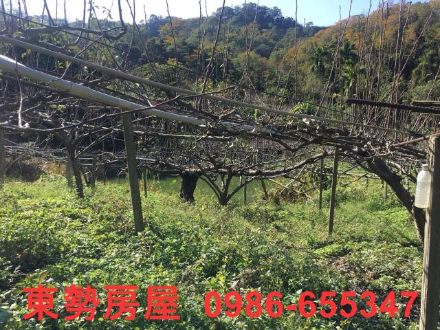台中休閒地-9