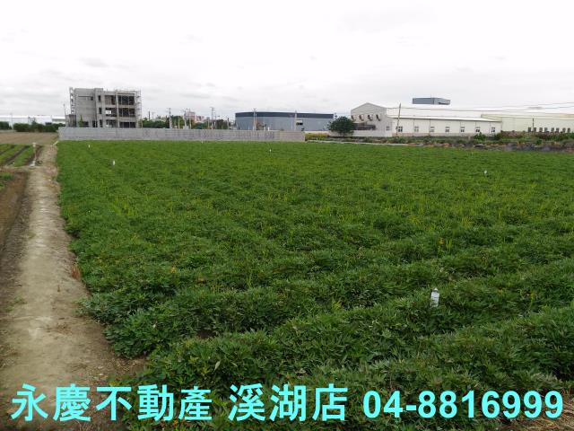 彰化農地-1