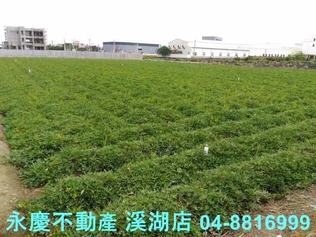 彰化農地-2