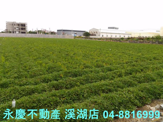 彰化農地-4