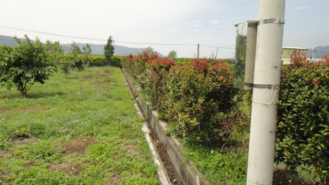 東勢農地-3