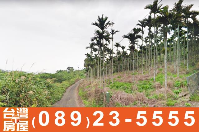 台東土地買賣