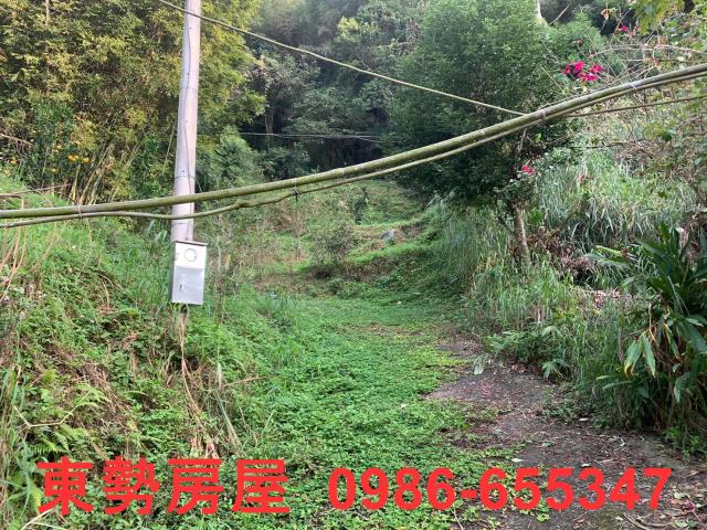 東勢農地-1