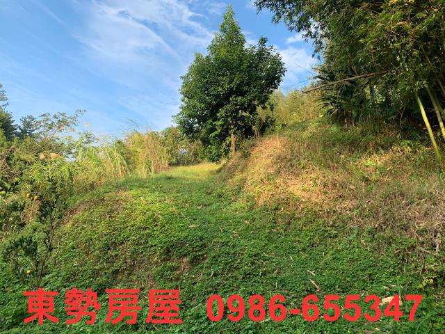 東勢農地-3