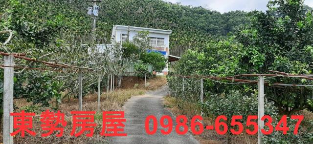 台中東勢農地-2