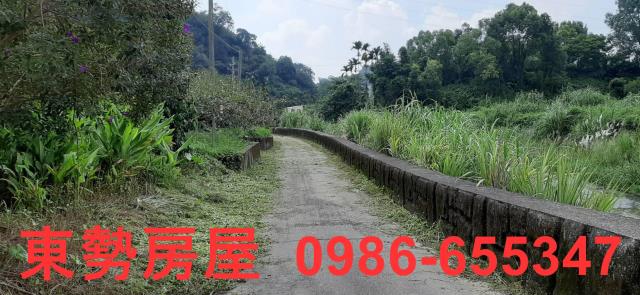 台中東勢農地-3
