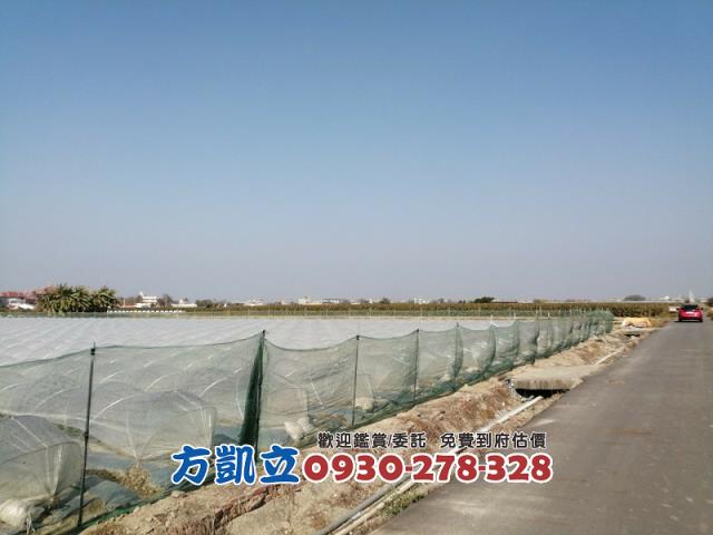 學甲農地-3