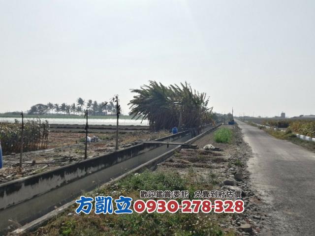 學甲農地-6