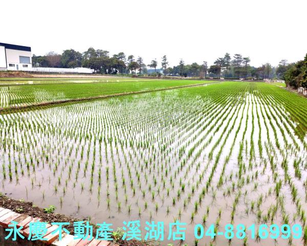 彰化埔鹽農地-2