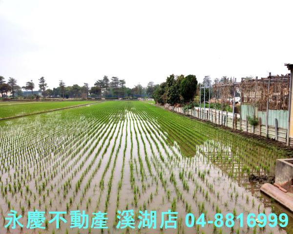 彰化埔鹽農地-8