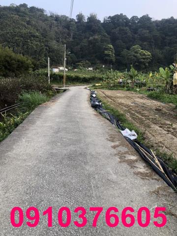 台中東勢農地-1