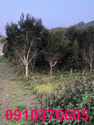 台中東勢農地-2