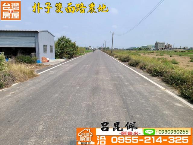 朴子農地-5