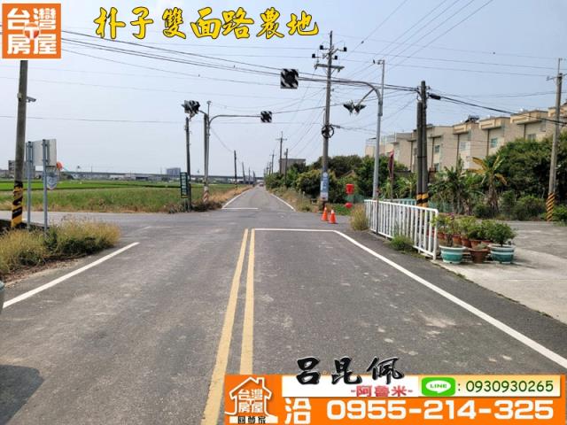 朴子農地-6