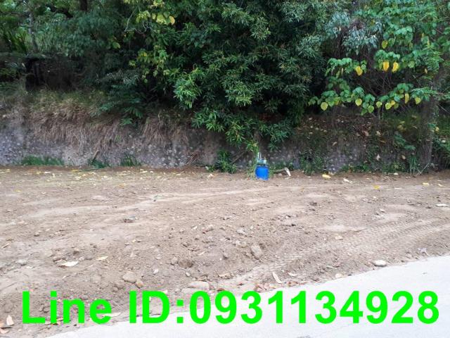 台中后里農地-2