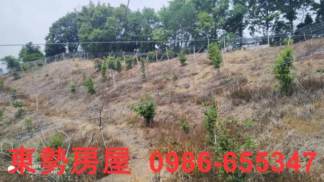 台中農地-2