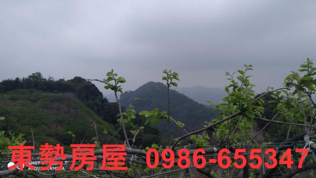 台中農地-4