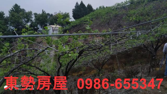 台中農地-5