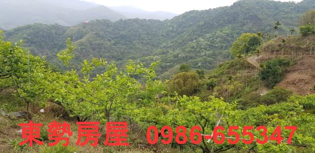 新社農地-6