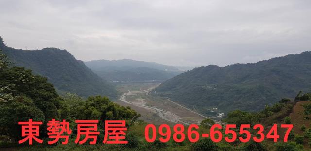 新社農地-9