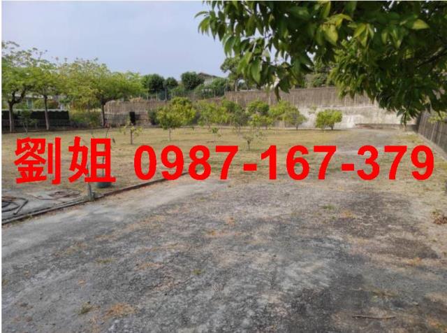 仁武農地-2