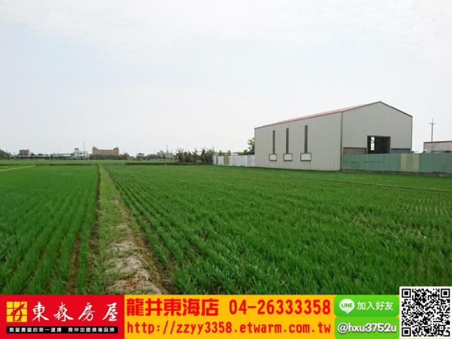 台中大甲農地-4