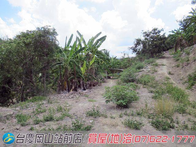 燕巢農地-14