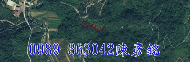 南投農地-10