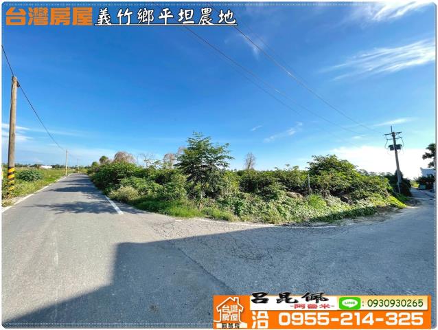 義竹農地-10