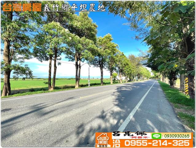 義竹農地-13