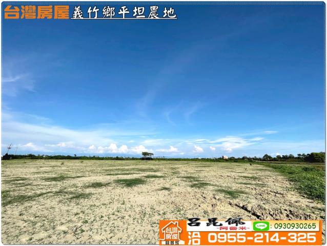 義竹農地-5