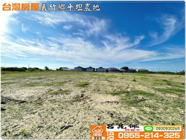 義竹農地-6