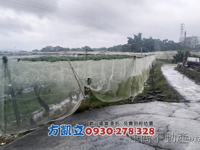 台南玉井農地-5