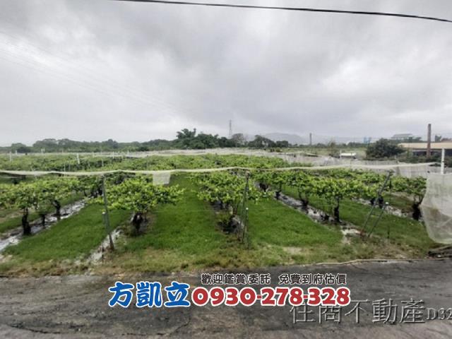 台南玉井農地-1