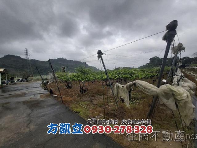 台南玉井農地-3