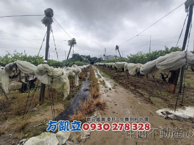 台南玉井農地-4