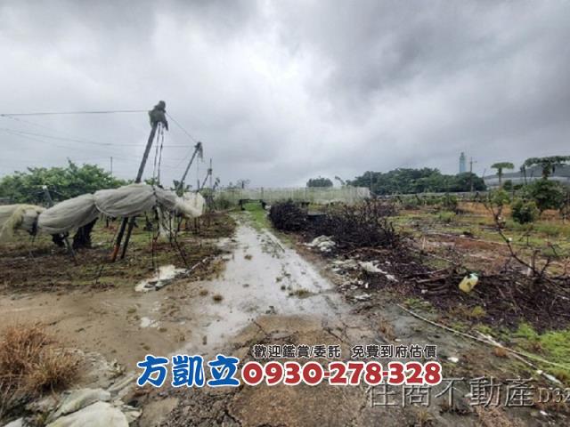 台南玉井農地-5