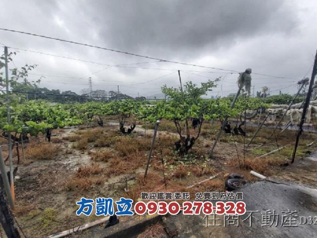 台南玉井農地-6