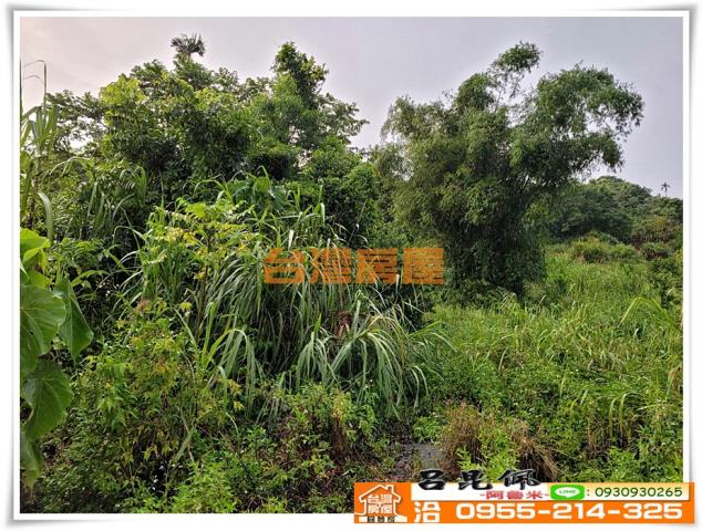嘉義竹崎農地-3